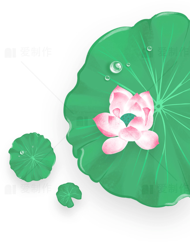 荷花与荷叶的唯美插画素材