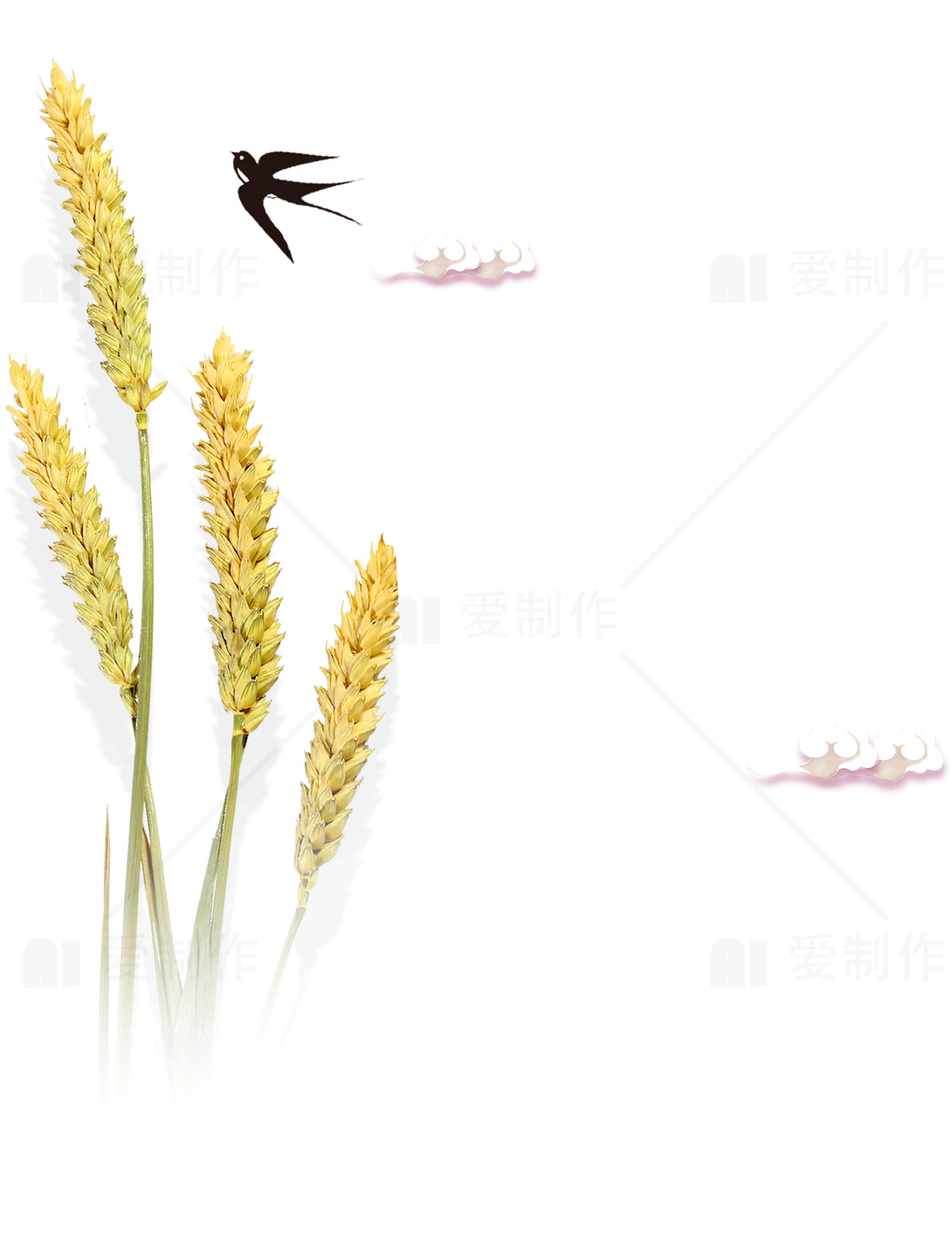 麦穗与燕子插画背景素材