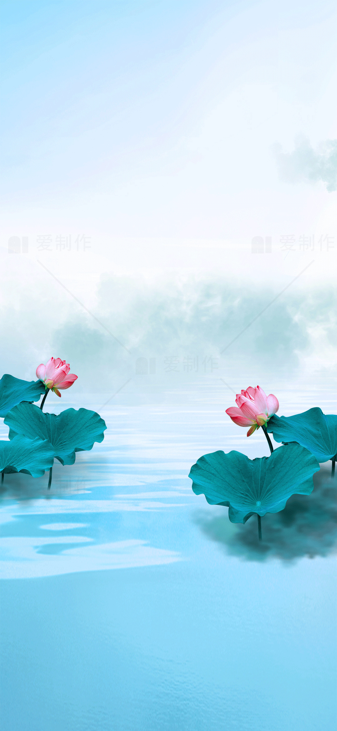 清新荷花与湖面风景壁纸素材