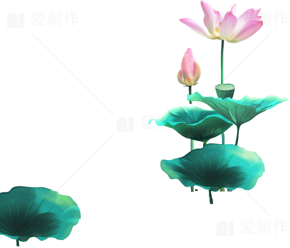 清新荷花插画设计素材
