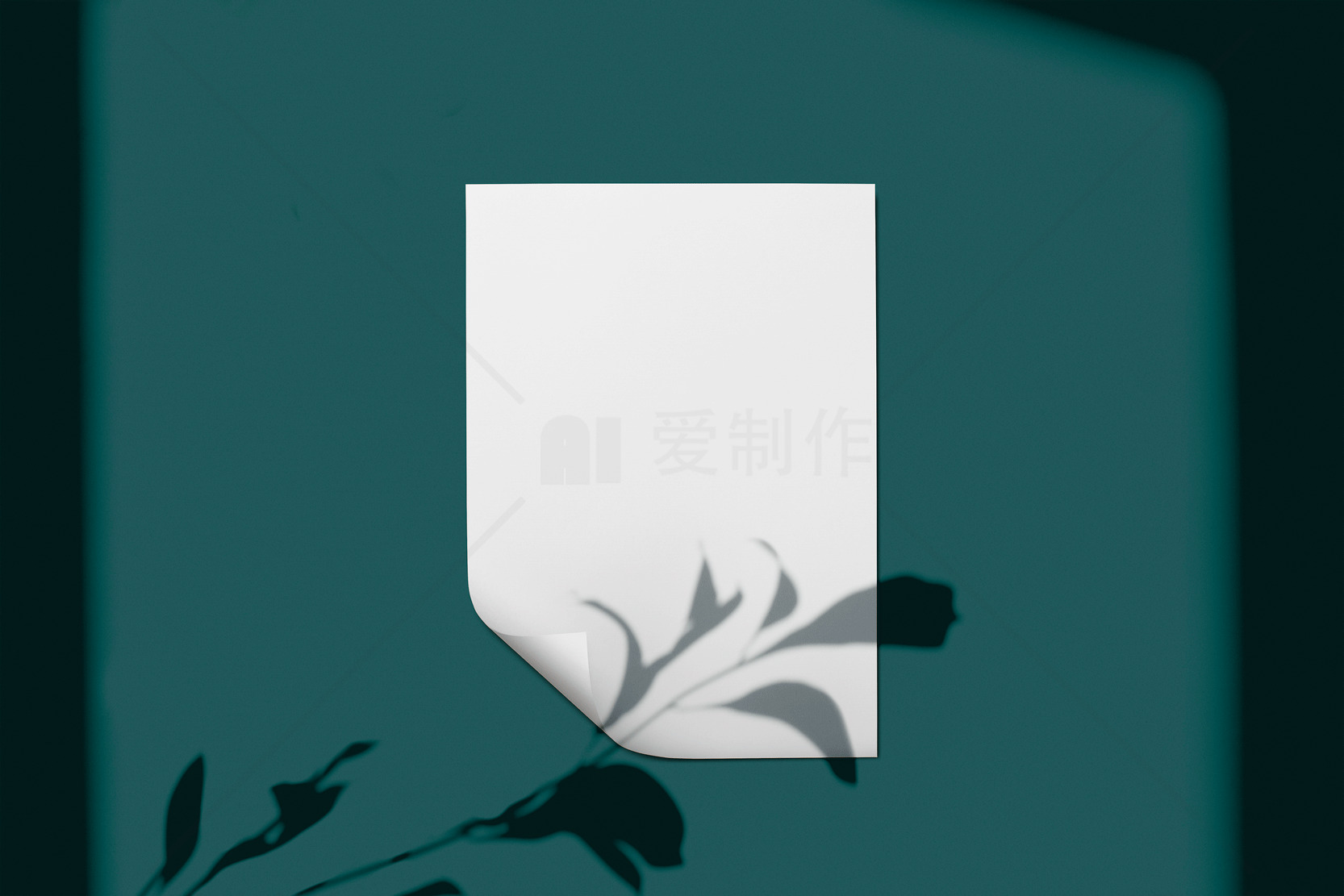简约白纸与绿背景的艺术摄影素材