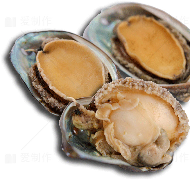 新鲜鲍鱼图片 - 高品质海鲜美食素材