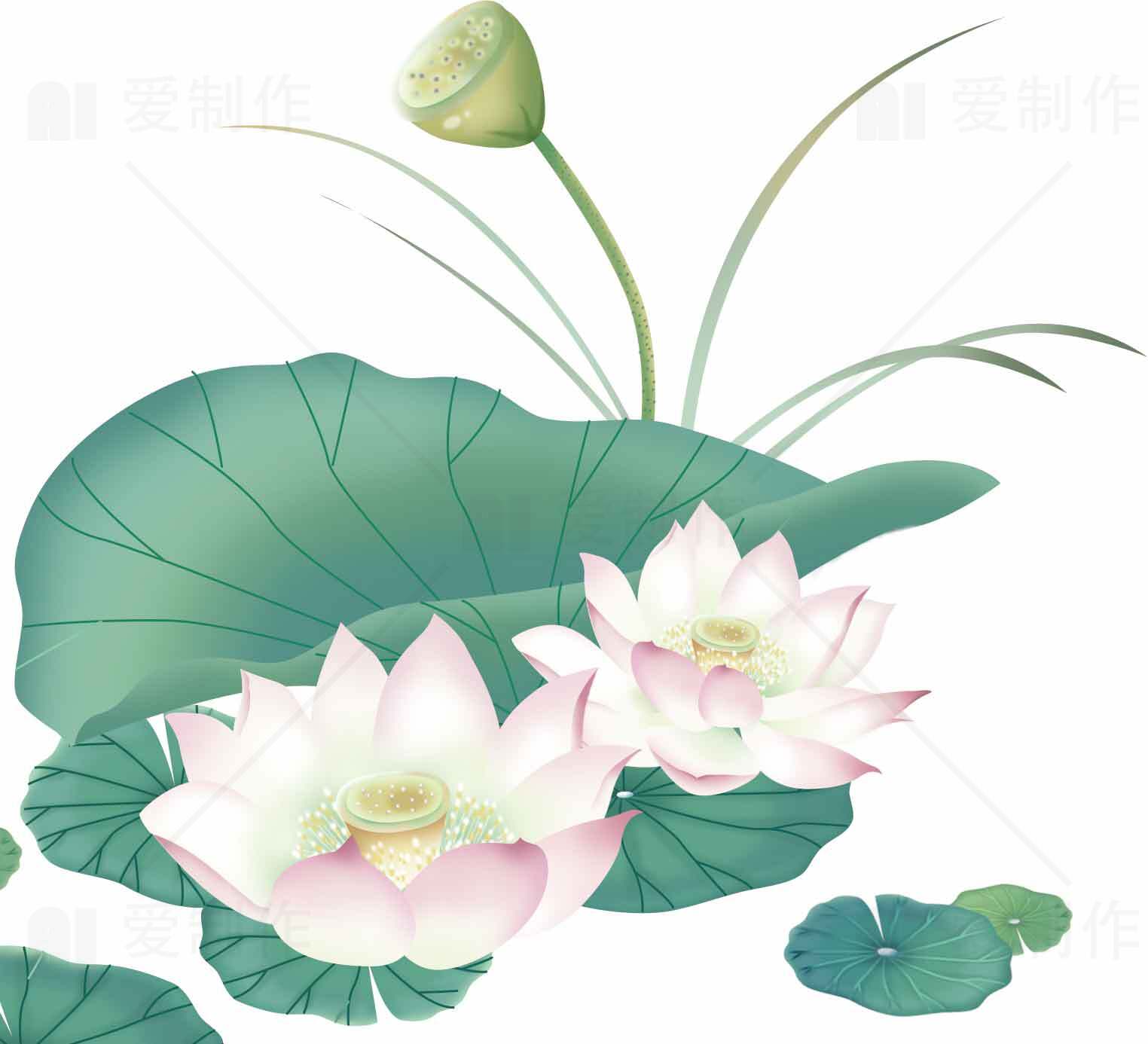 清新荷花插画图片素材