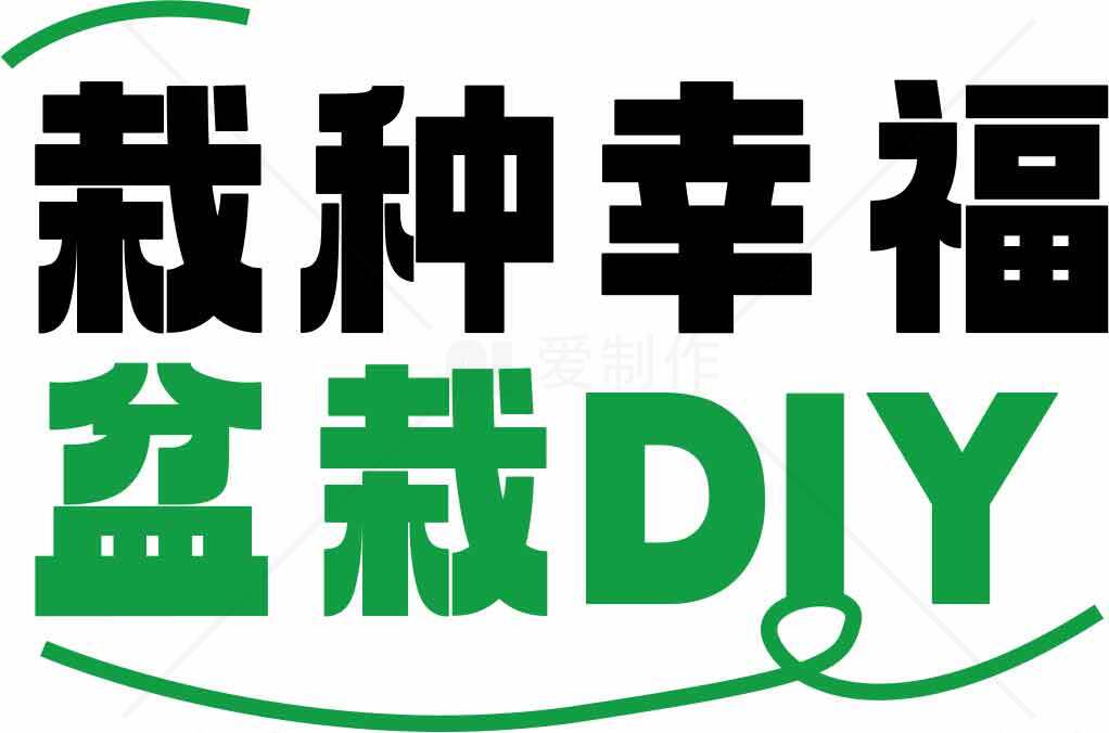 栽种幸福盆栽DIY教程素材