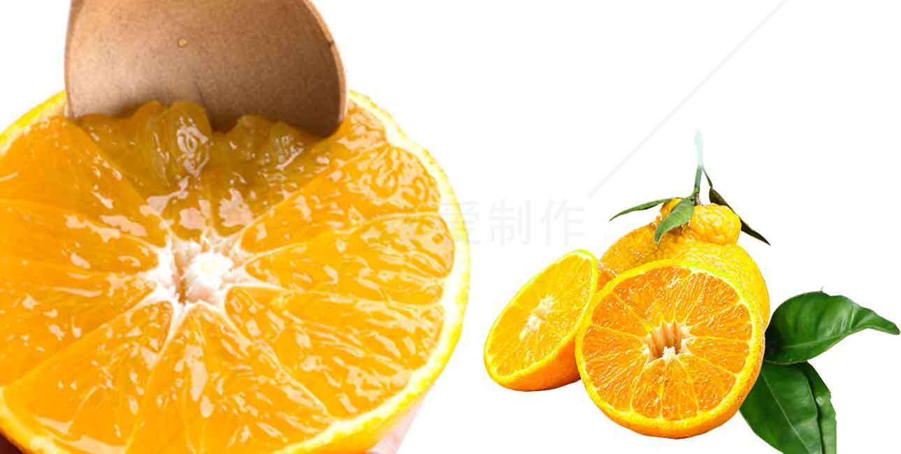新鲜多汁的橙子图片及营养价值解析素材