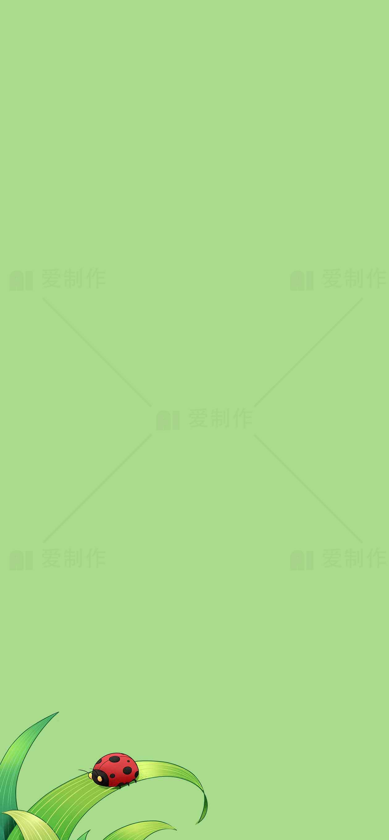 绿色背景上的瓢虫插画设计素材