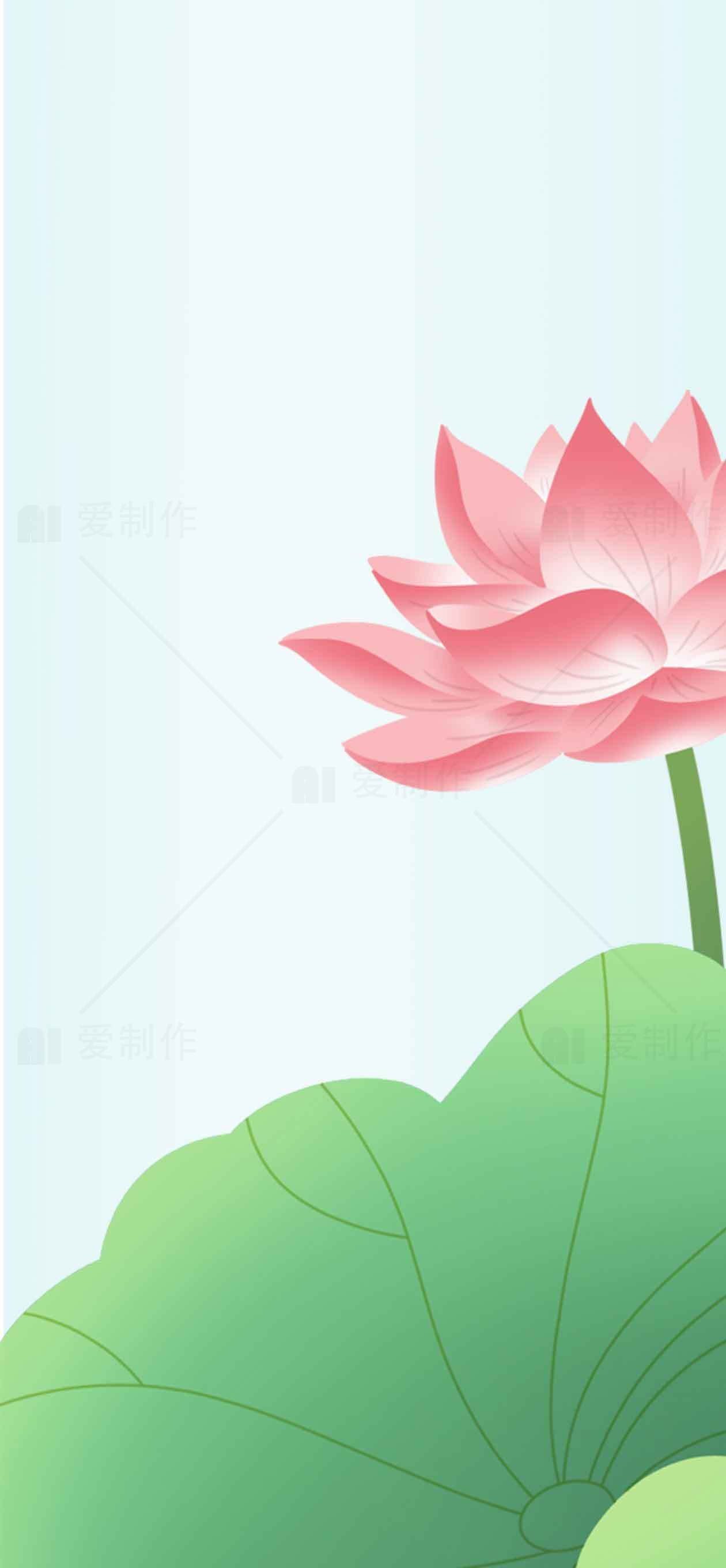 清新荷花背景图片设计素材