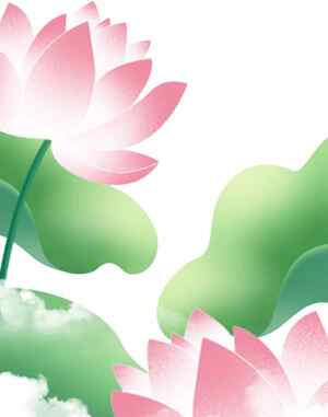 荷花唯美插画设计素材图片