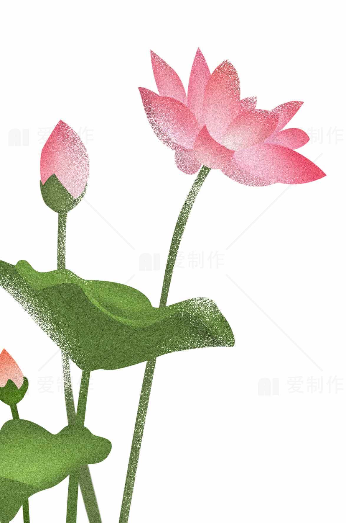 粉色荷花插画图片——清新自然风格设计素材