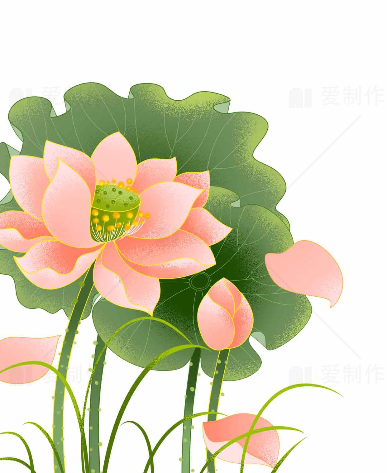 粉色荷花与绿叶唯美插画图片素材