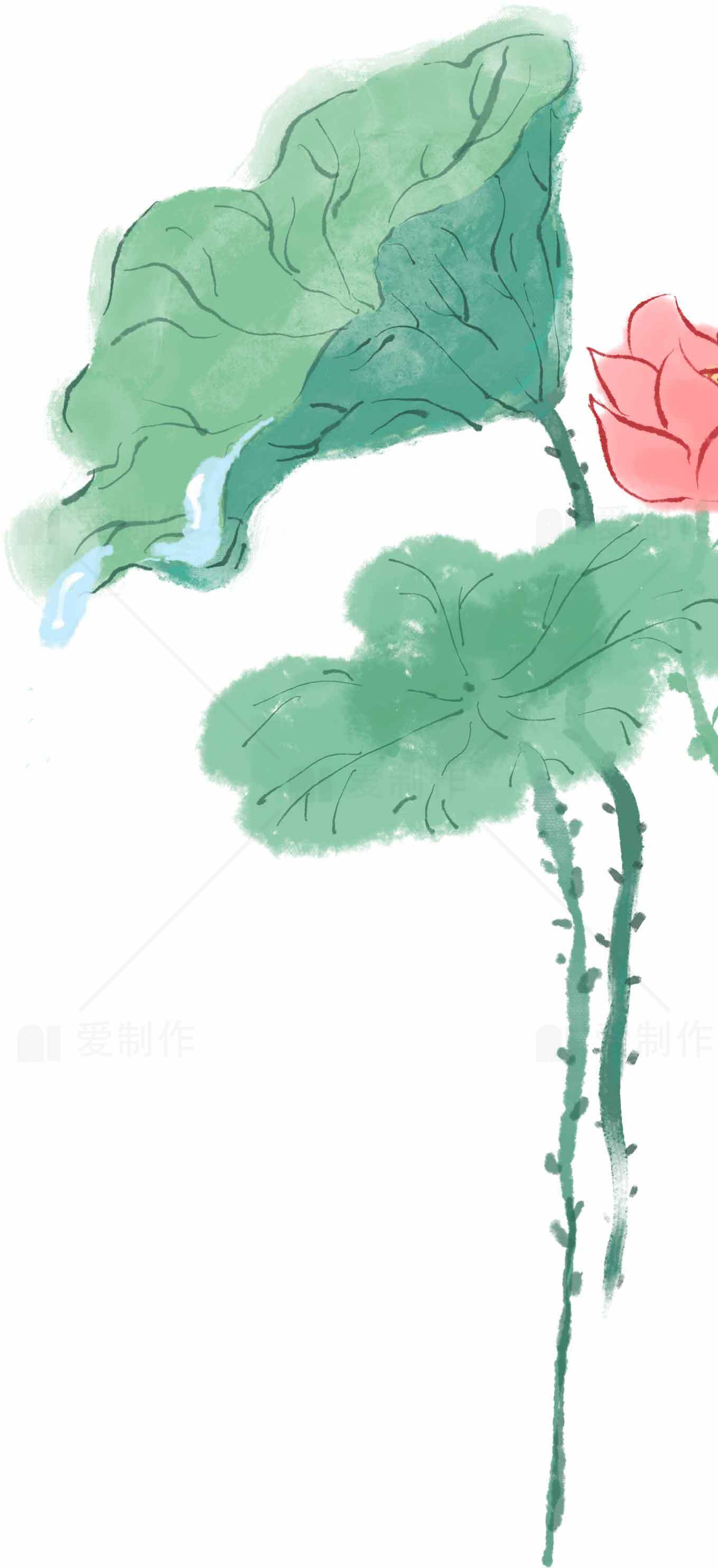 中国风水墨荷花手绘图片素材