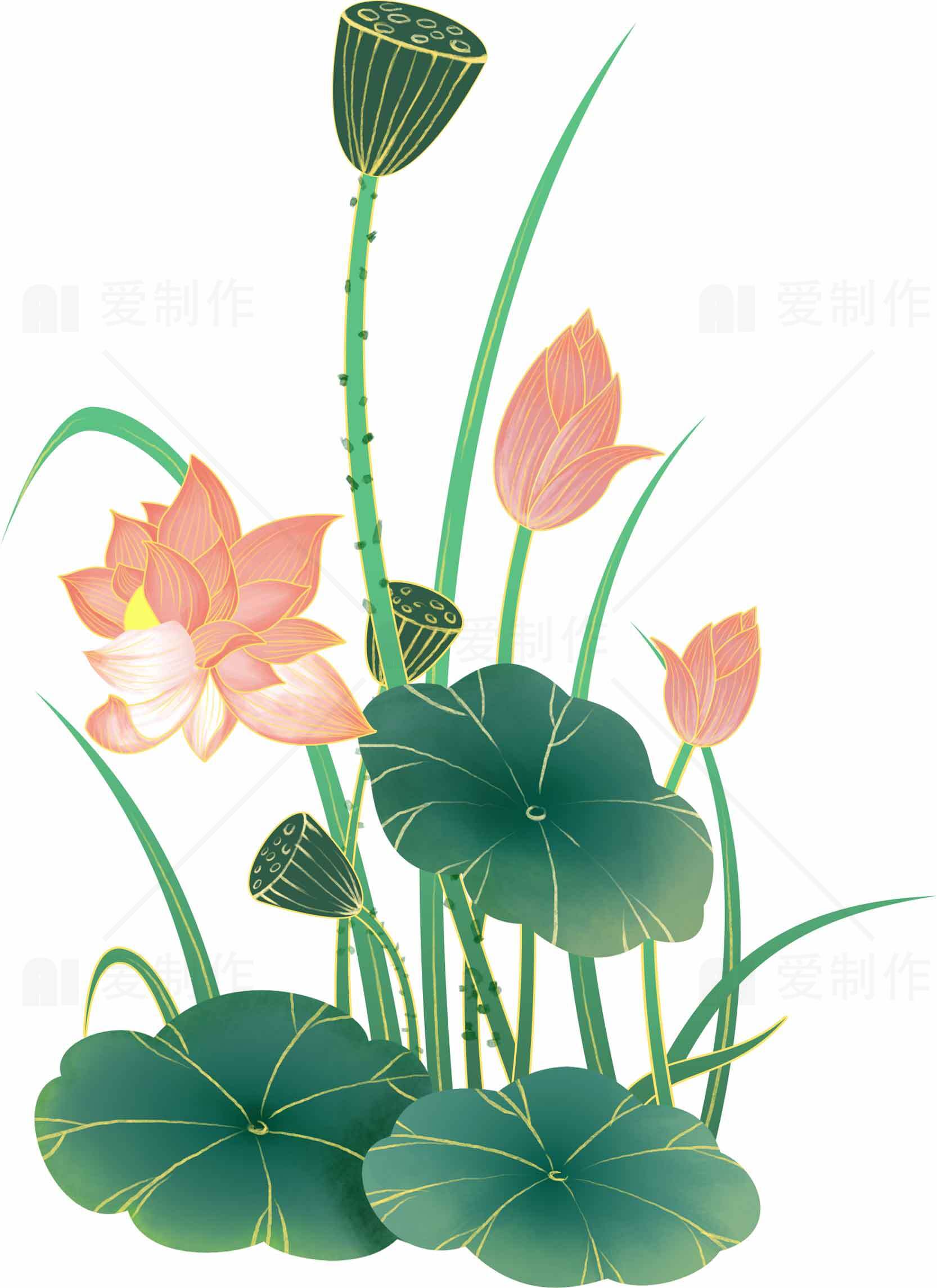 荷花与莲叶的唯美插画设计素材