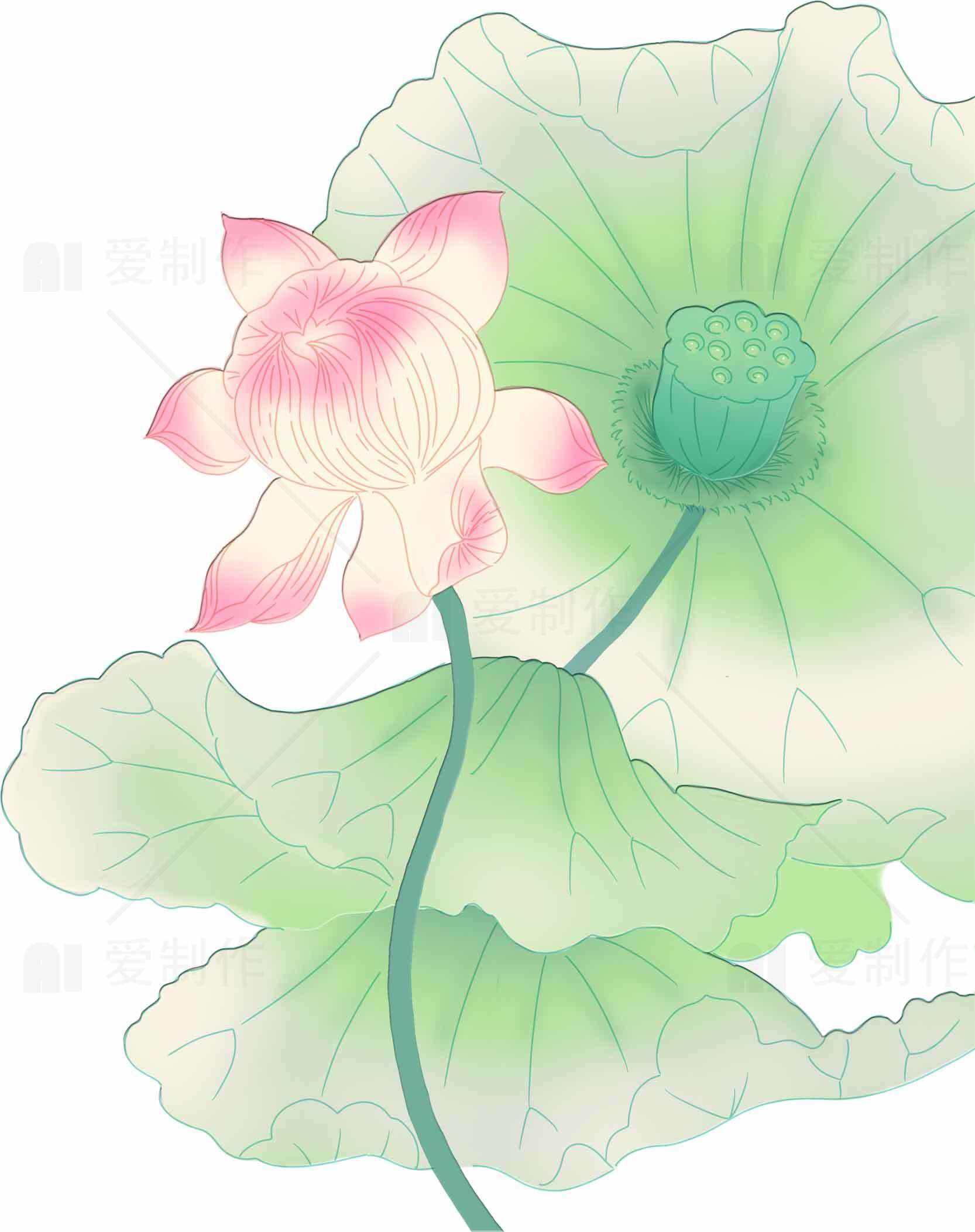 清新荷花主题插画设计图片素材