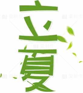 立夏节气清新绿色海报设计模板素材