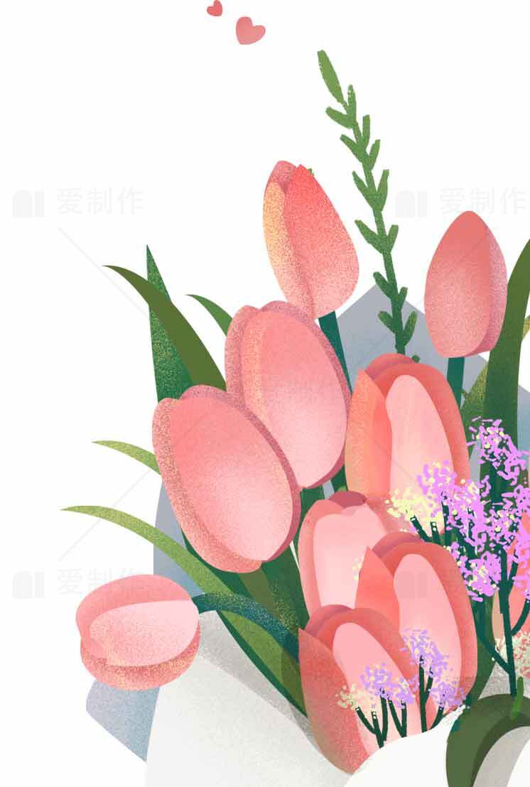 粉色郁金香插画图片——浪漫花卉设计素材