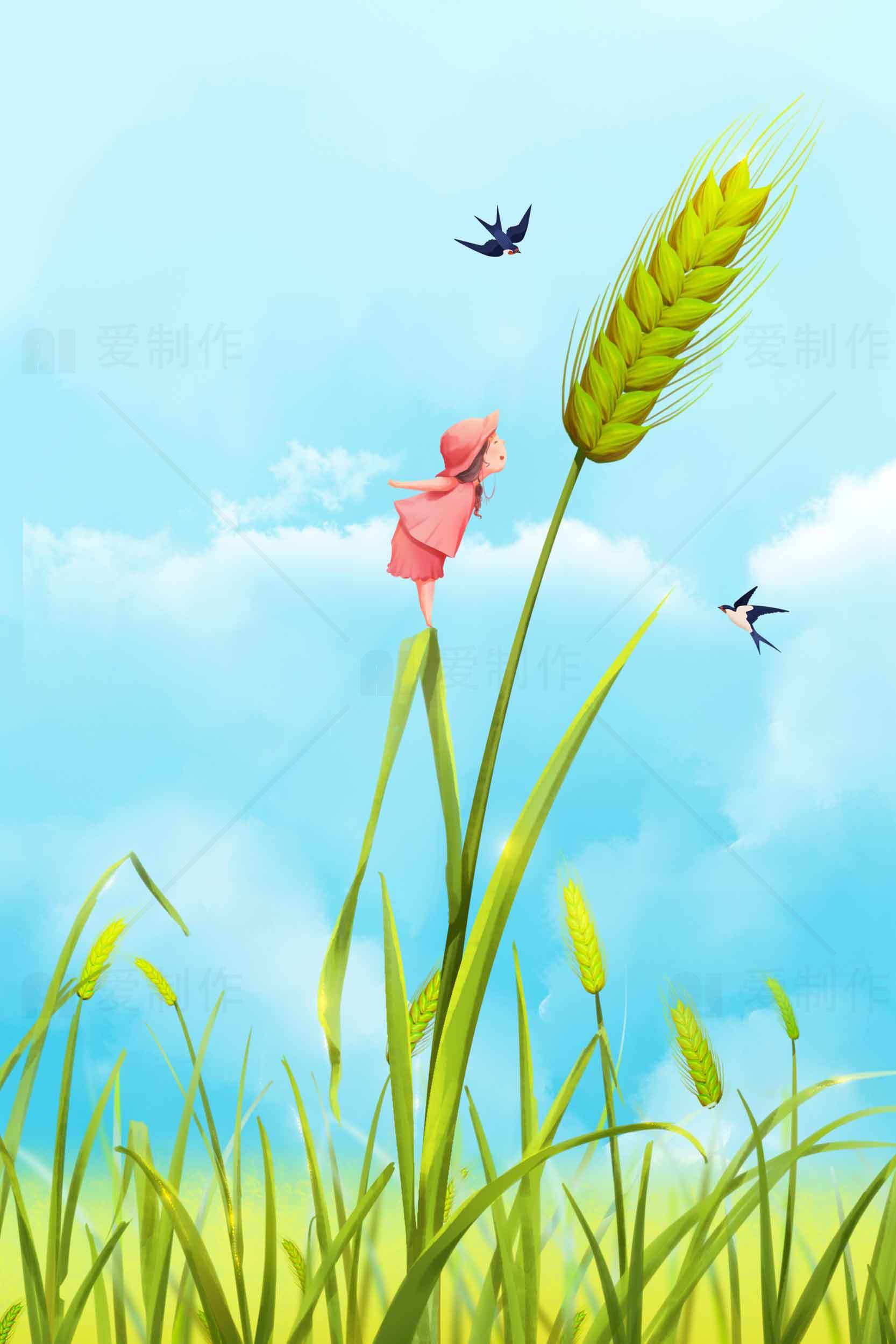 田野中的麦穗与花朵唯美风景图片素材