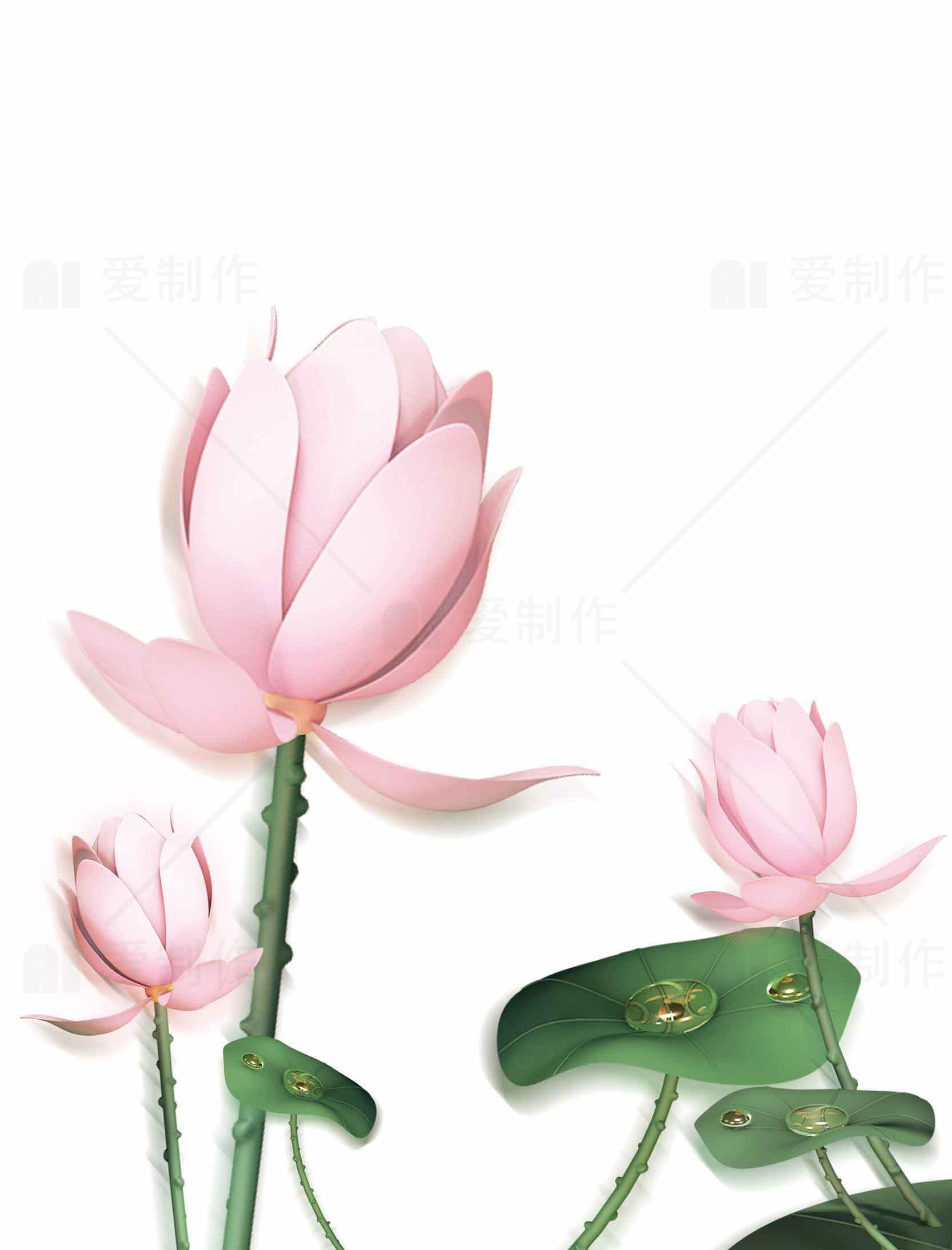 粉色荷花唯美插画图片素材