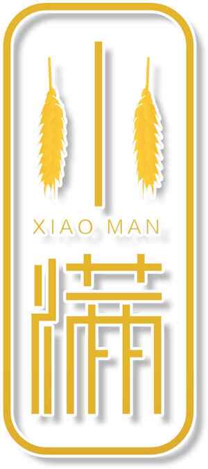 小满节气设计：黄色麦穗点缀简约风格