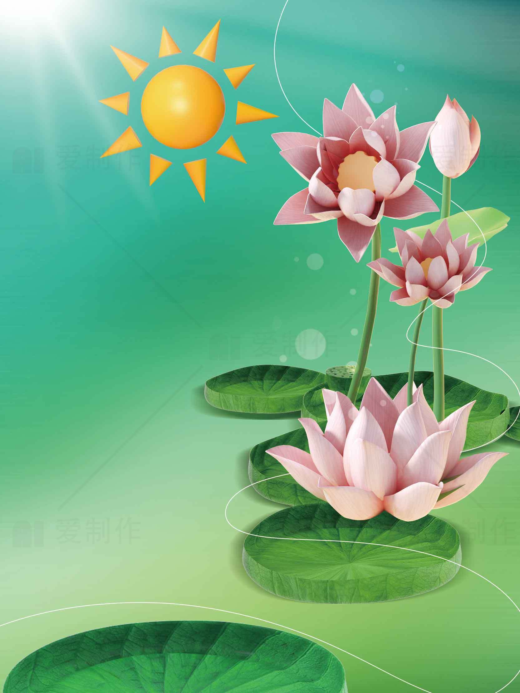 清新夏日荷花与阳光背景图片素材