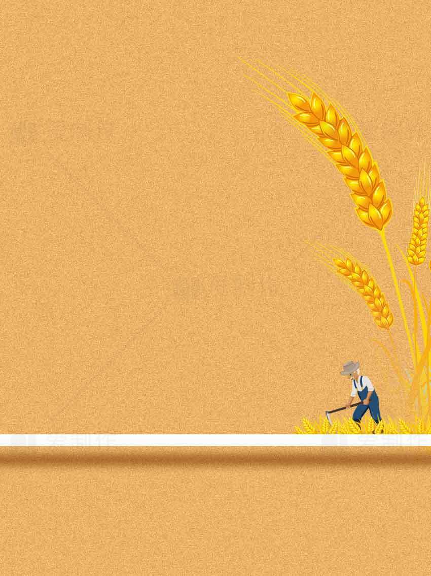 丰收季节小麦插画背景图片素材