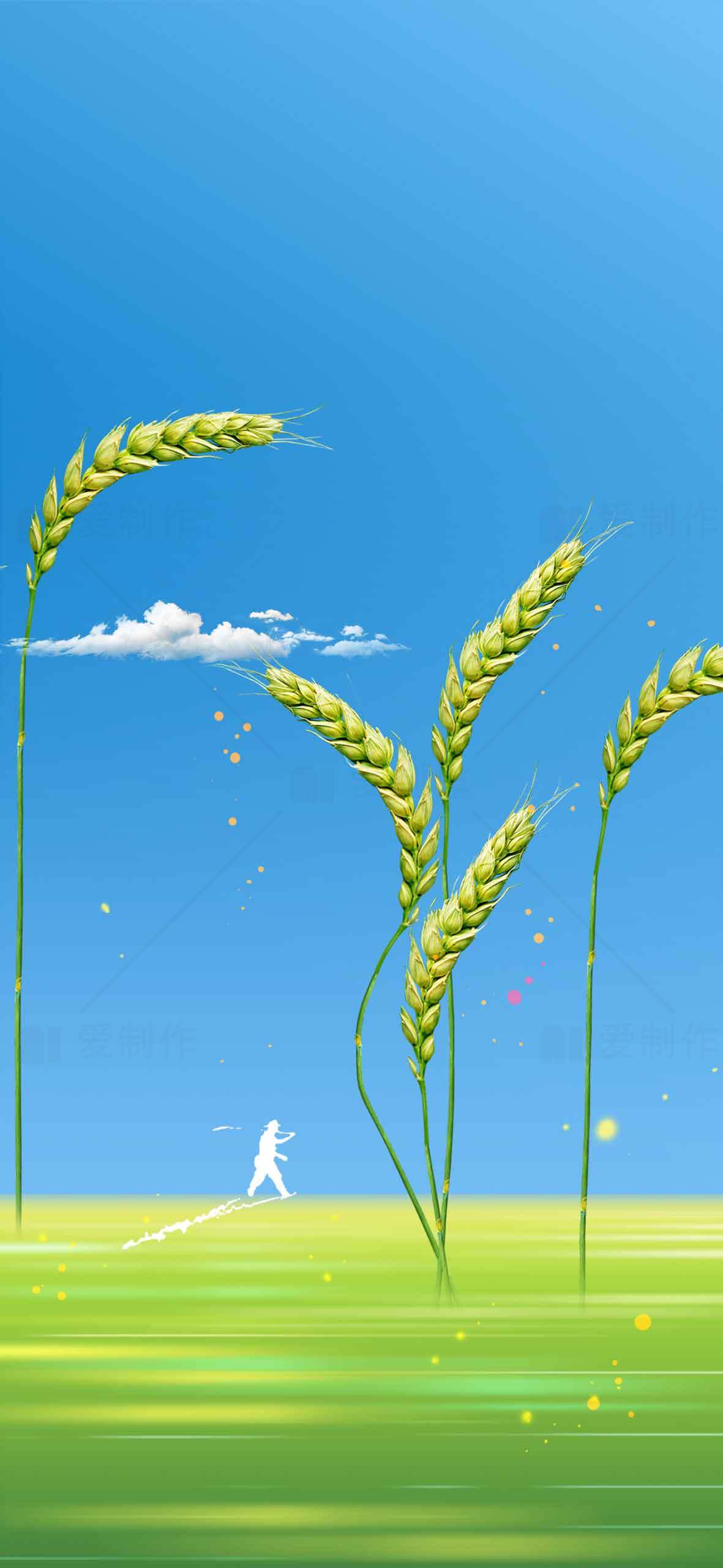 田野麦穗与蓝天背景唯美插画素材
