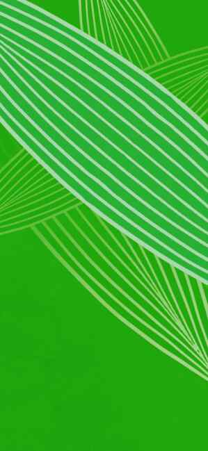 绿色抽象线条背景图片