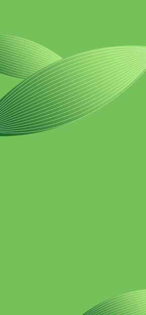 绿色叶子背景图片设计