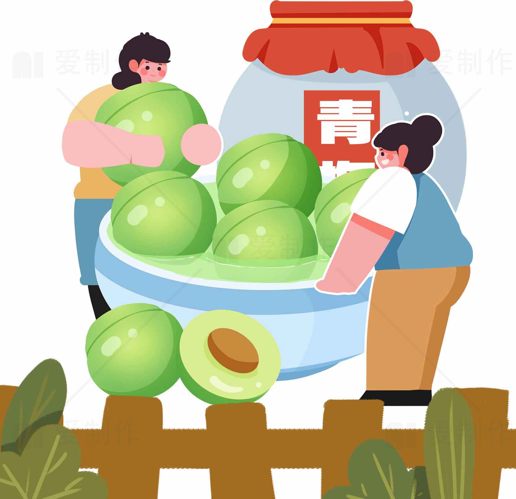 青梅果酱制作插画设计素材