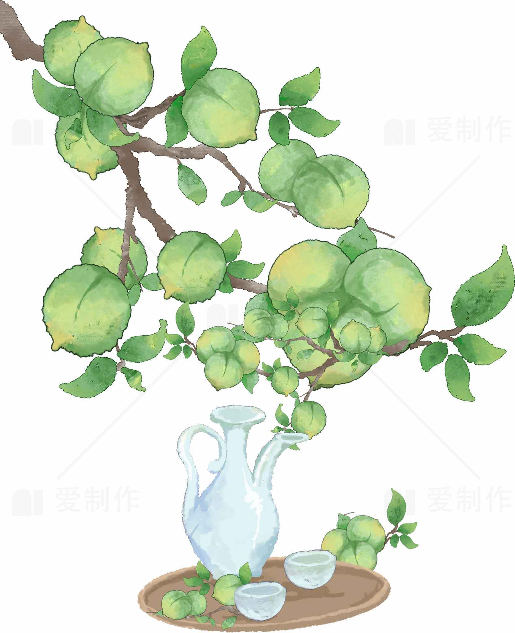青梅与白瓷壶的清新插画素材