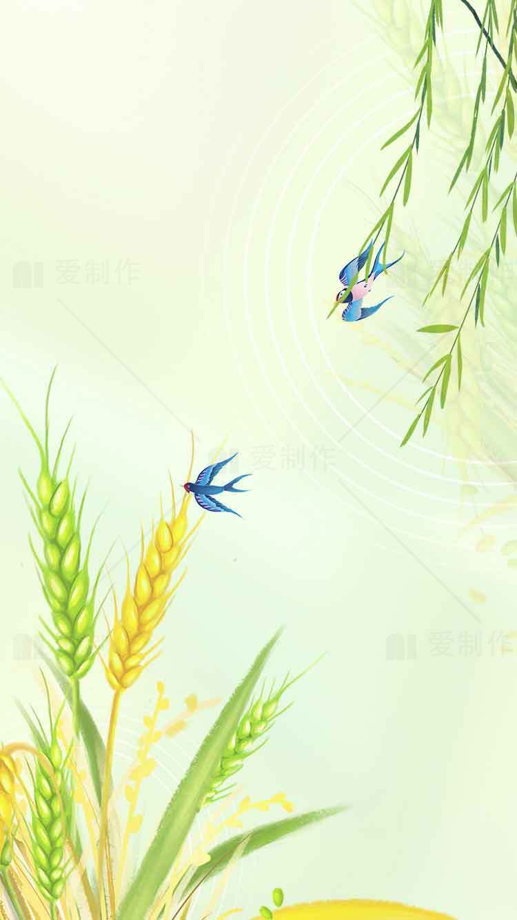 清新田园风格小麦与燕子插画背景素材