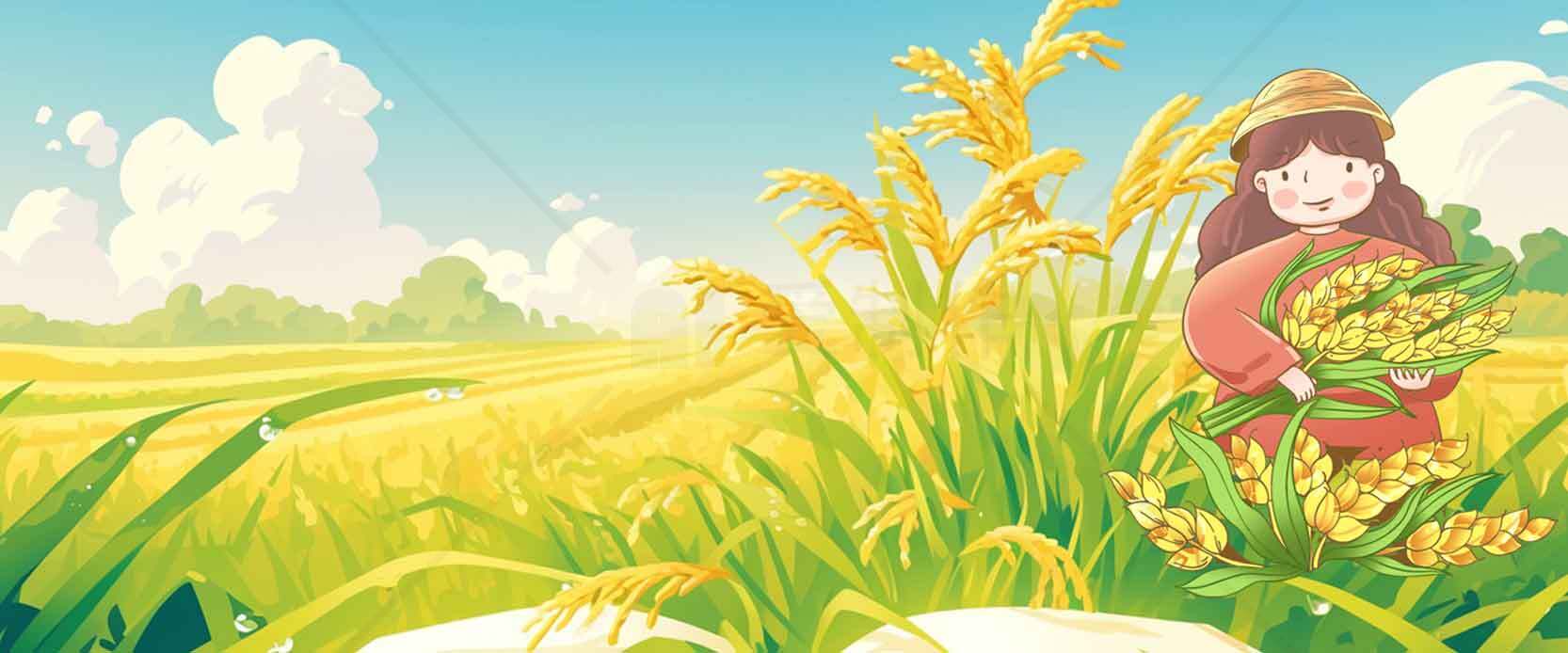 丰收季节的田园风光插画素材