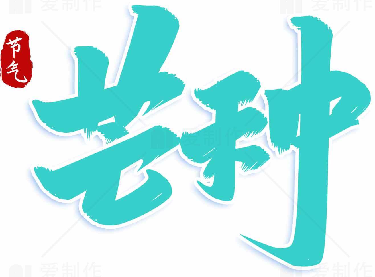 芒种节气书法艺术蓝色字体设计素材