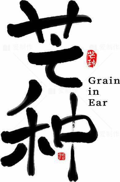 芒种节气书法艺术图片素材
