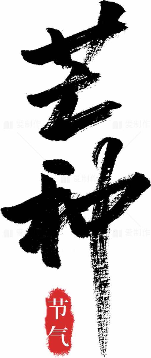 芒种节气毛笔字艺术设计素材