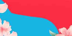 红蓝背景与粉色花朵的唯美设计