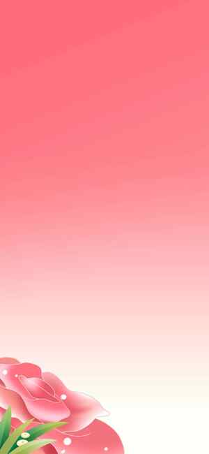 粉色花卉渐变背景图片