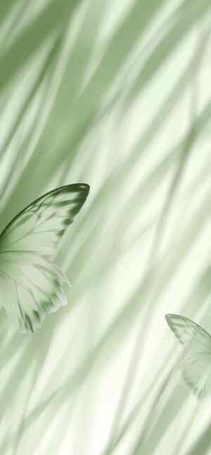 清新绿色蝴蝶背景图片