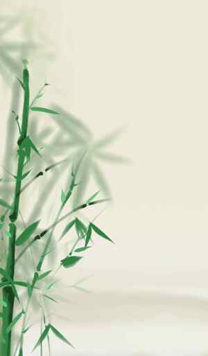 清新竹子背景图片 - 自然与禅意的完美结合