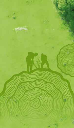 绿色自然艺术：人与自然的和谐之美