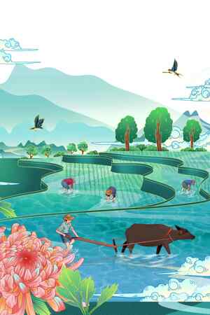 田园风光插画：水牛耕田与梯田美景