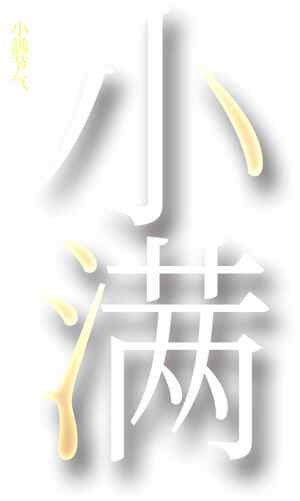 小满节气唯美字体设计图片