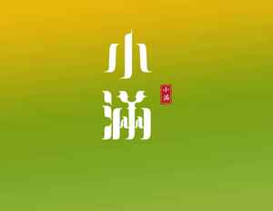 小满节气绿色主题背景海报设计