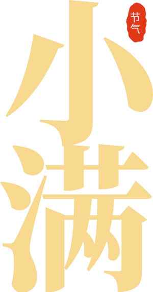 小满节气传统文化设计海报