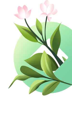 清新自然风格的绿色植物与粉色花朵插画设计