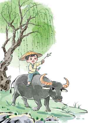 田园牧童骑牛插画图片