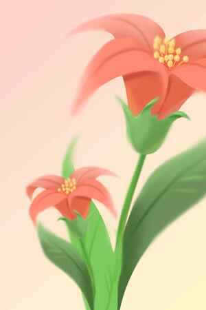 红色花朵插画背景图片