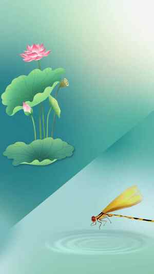 荷花与蜻蜓唯美插画背景图片