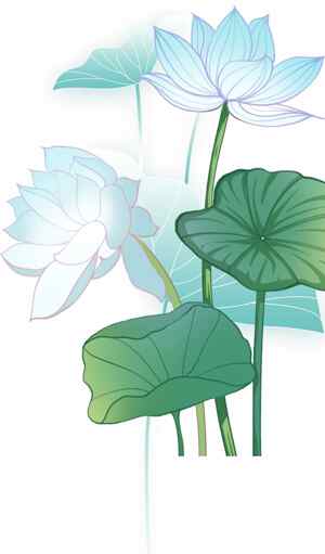 荷花主题清新风格插画设计图片