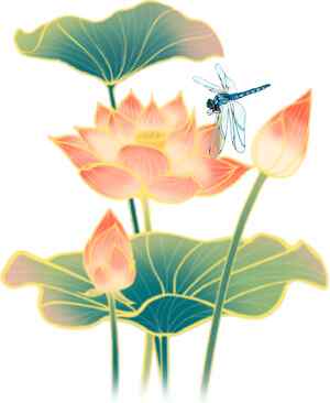 唯美荷花与蜻蜓插画图片