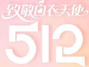 致敬白衣天使512主题海报